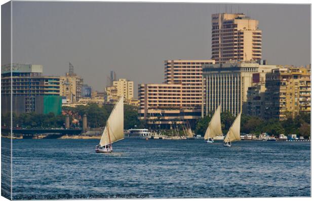 Arab Dhow sailing vessels on the River Nile, Cairo, Egypt. Canvas Print by Peter Bolton