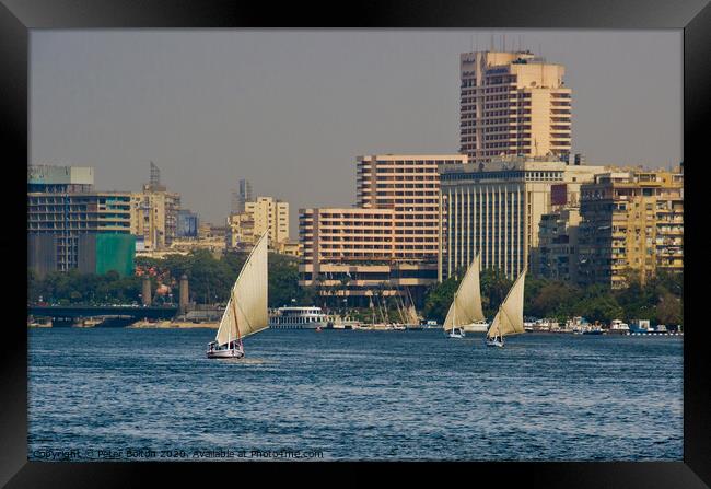 Arab Dhow sailing vessels on the River Nile, Cairo, Egypt. Framed Print by Peter Bolton