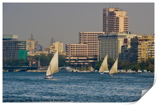 Arab Dhow sailing vessels on the River Nile, Cairo, Egypt. Print by Peter Bolton