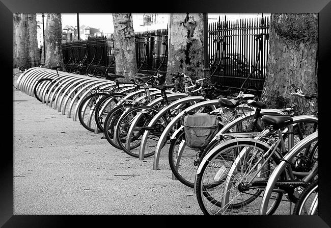 Bicycle Park Framed Print by Karen Martin