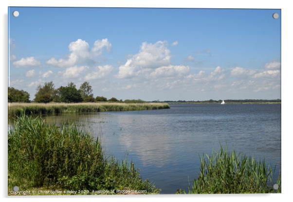Summer at Horsey Mere. Acrylic by Christopher Keeley