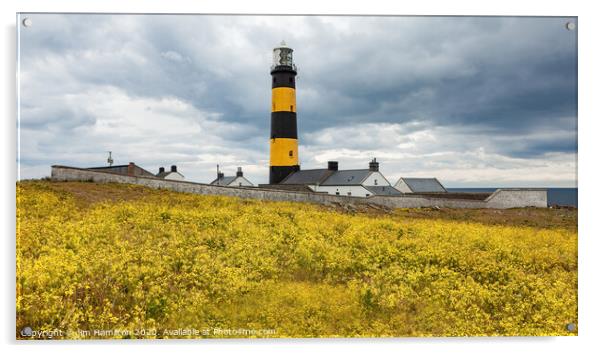 St.John's Lighthouse Acrylic by jim Hamilton