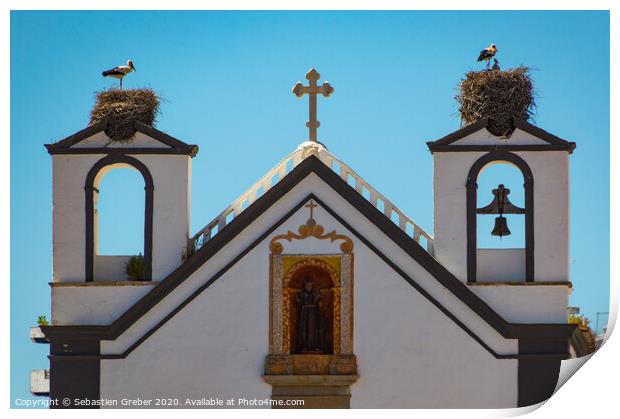 Storks in Faro Print by Sebastien Greber