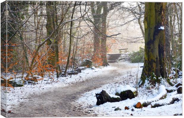 Winter scene at Biddulph Country park Canvas Print by Andrew Heaps