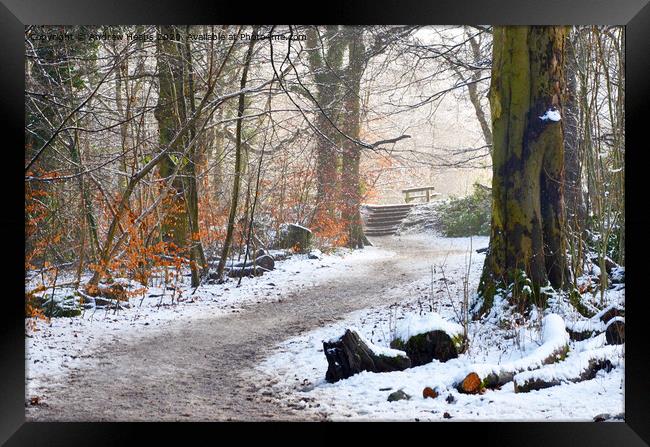 Winter scene at Biddulph Country park Framed Print by Andrew Heaps