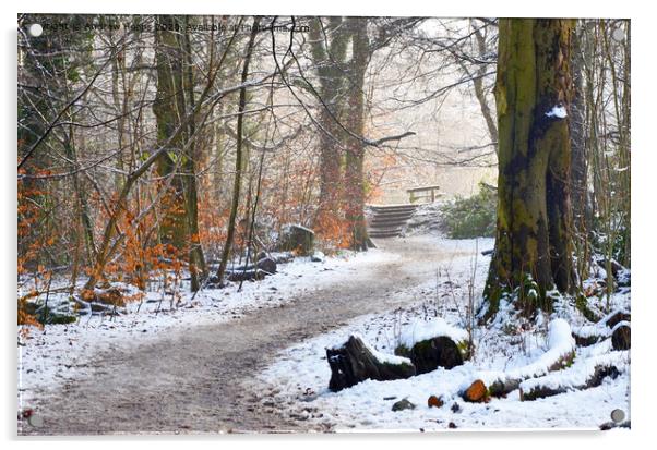 Winter scene at Biddulph Country park Acrylic by Andrew Heaps