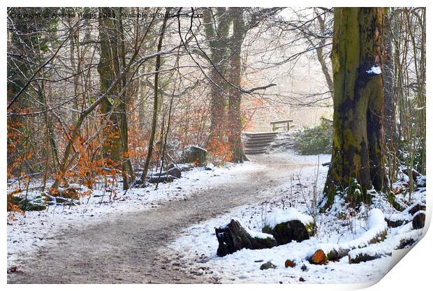 Winter scene at Biddulph Country park Print by Andrew Heaps