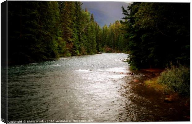 Deep Forest River Canvas Print by Elaine Manley