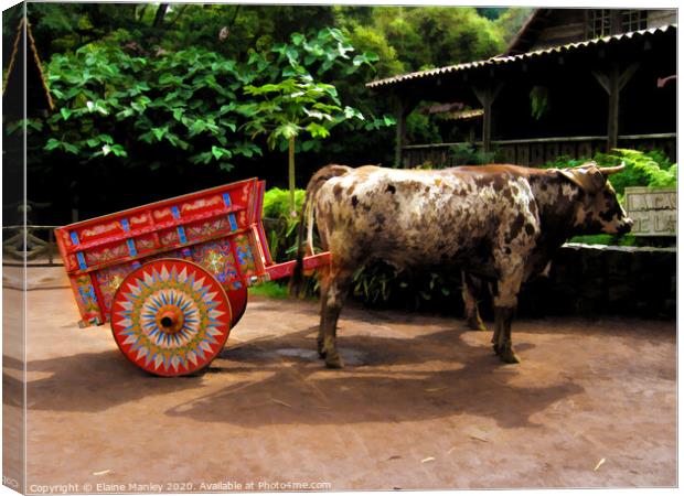 The Cow and Cart Canvas Print by Elaine Manley