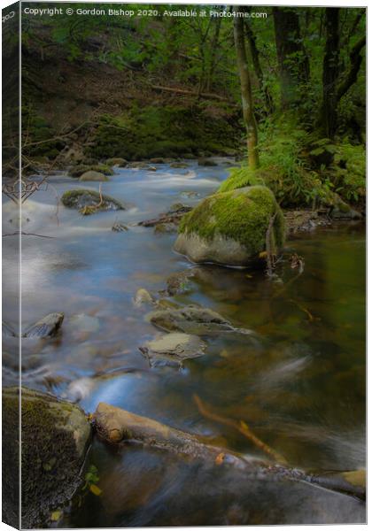 Woodland stream Canvas Print by Gordon Bishop