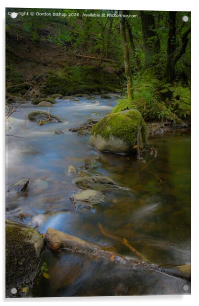 Woodland stream Acrylic by Gordon Bishop