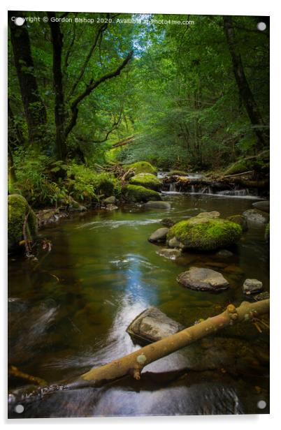 Lake District Stream Acrylic by Gordon Bishop
