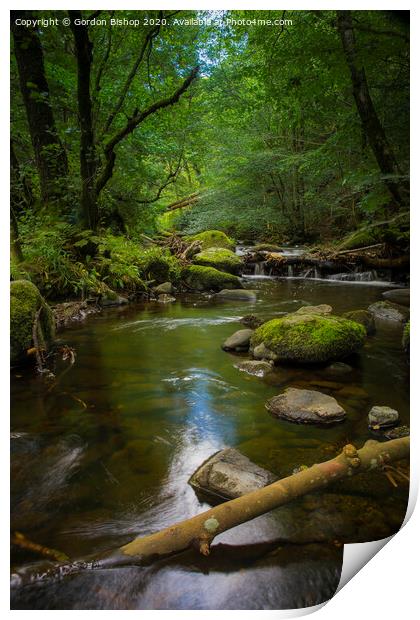 Lake District Stream Print by Gordon Bishop
