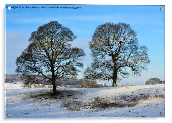 Snowy winters scene Acrylic by Andrew Heaps