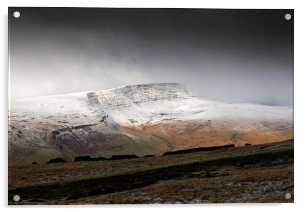 Fan Hir with a dusting of snow Acrylic by Leighton Collins