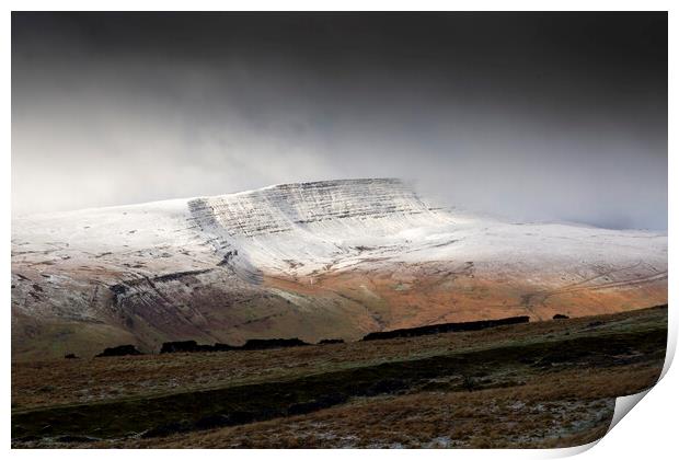 Fan Hir with a dusting of snow Print by Leighton Collins