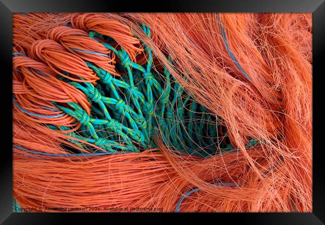 Fishing Net Abstract Framed Print by Alexandra Lavizzari