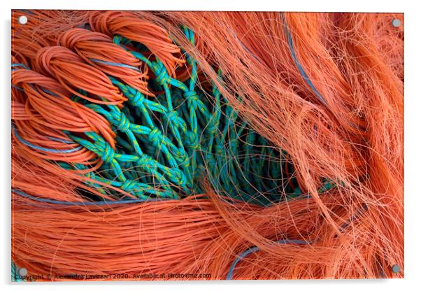 Fishing Net Abstract Acrylic by Alexandra Lavizzari