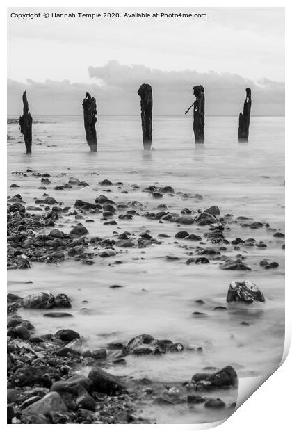 Groynes on the Beach Print by Hannah Temple