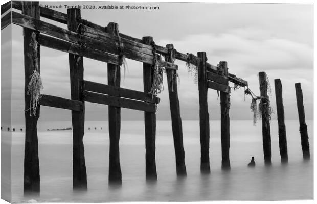 Groynes on the Beach Canvas Print by Hannah Temple