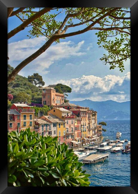 Portofino, Italy Framed Print by Scott Anderson