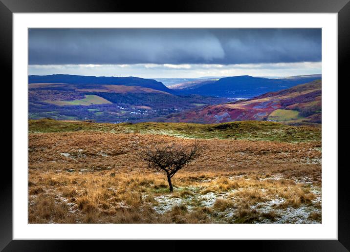 Snow clouds and a lone tree Framed Mounted Print by Leighton Collins