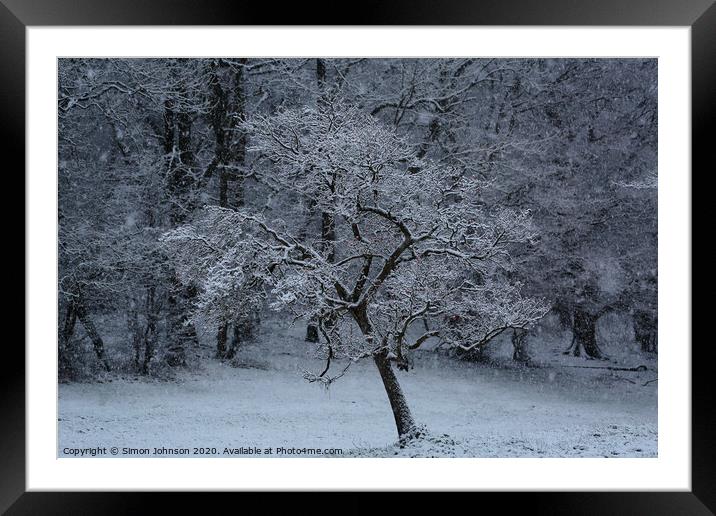 Tree in snow Framed Mounted Print by Simon Johnson
