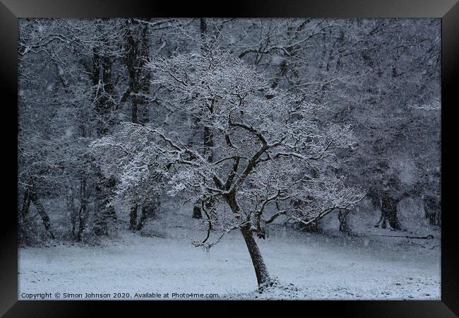 Tree in snow Framed Print by Simon Johnson