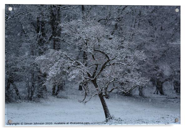Tree in snow Acrylic by Simon Johnson