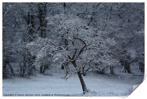 Tree in snow Print by Simon Johnson