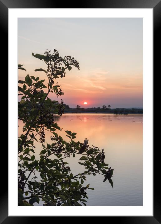 Tring Reservoir Sunset  Framed Mounted Print by Graham Custance