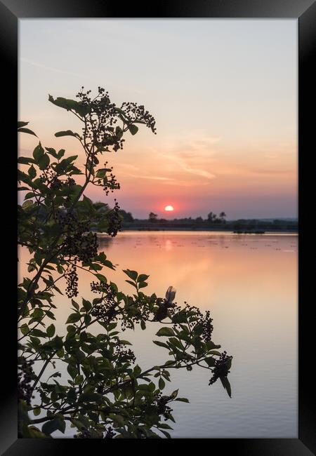 Tring Reservoir Sunset  Framed Print by Graham Custance
