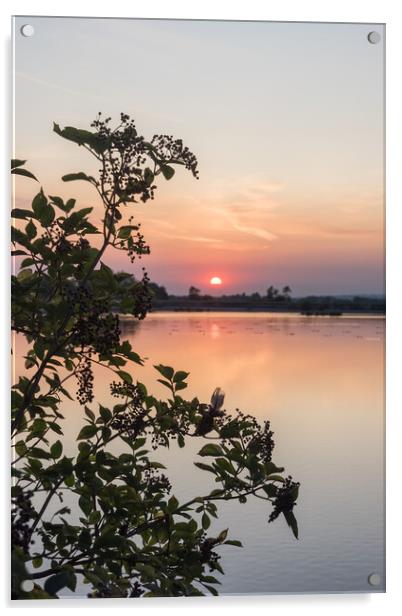 Tring Reservoir Sunset  Acrylic by Graham Custance