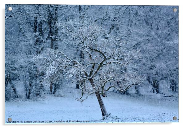 winter wonderland Acrylic by Simon Johnson