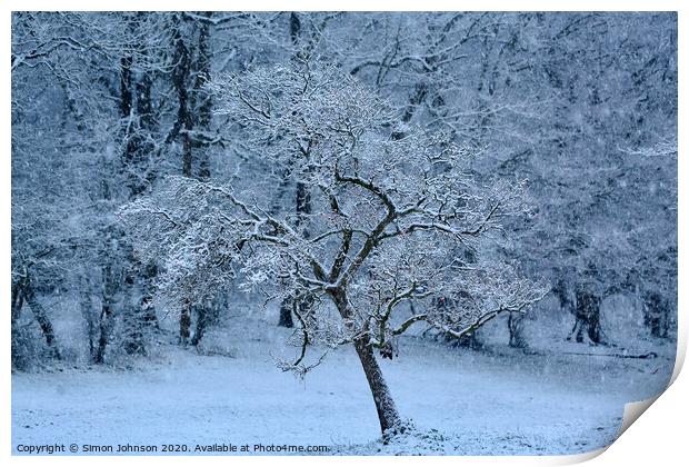 winter wonderland Print by Simon Johnson