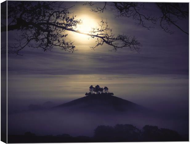 Moonlit Mists Canvas Print by David Neighbour