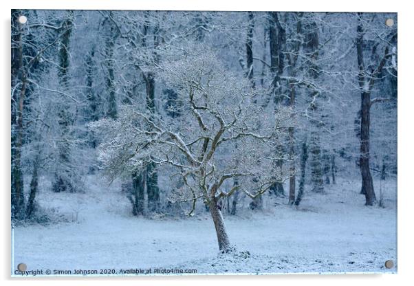 wintrer snow  Acrylic by Simon Johnson
