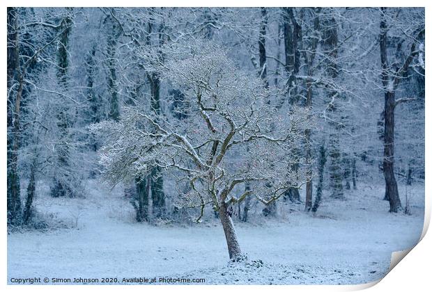 wintrer snow  Print by Simon Johnson