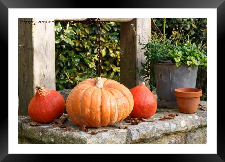 Pumpkins on the coping of a well Framed Mounted Print by aurélie le moigne