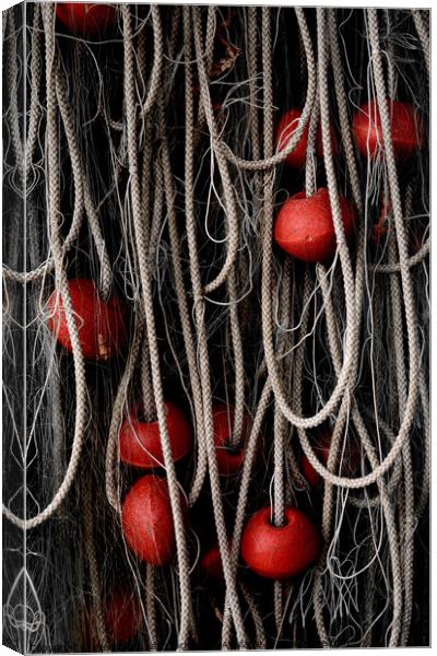 Ropes And Floats Canvas Print by Alexandra Lavizzari