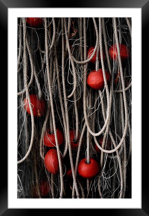 Ropes And Floats Framed Mounted Print by Alexandra Lavizzari