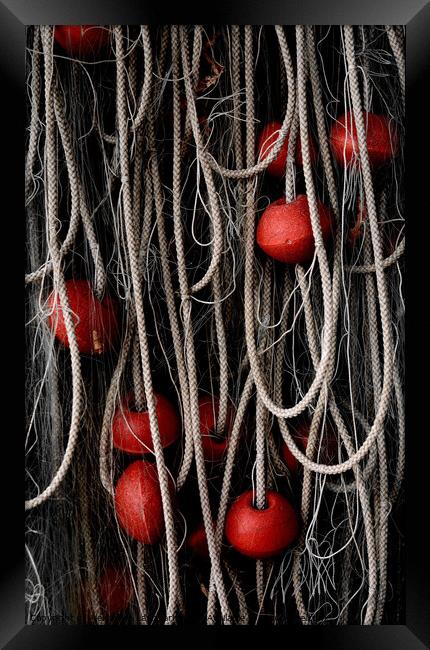 Ropes And Floats Framed Print by Alexandra Lavizzari