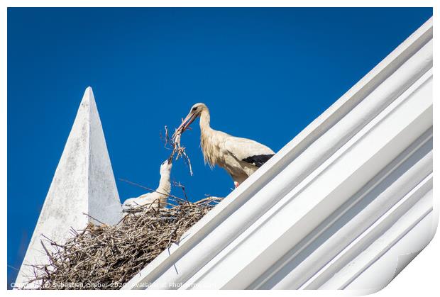 Stork building it's nest Print by Sebastien Greber
