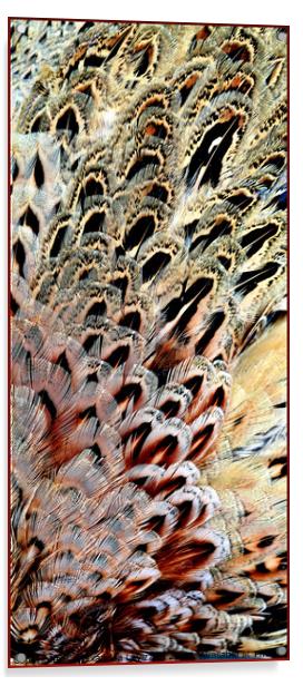 Feather Abstract Acrylic by Alexandra Lavizzari