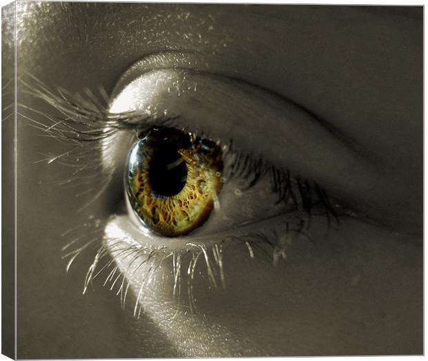 the eye of a child (hazel and green) Canvas Print by Heather Newton