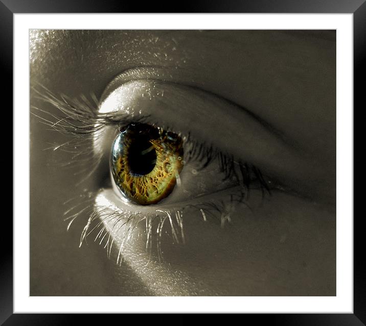 the eye of a child (hazel and green) Framed Mounted Print by Heather Newton