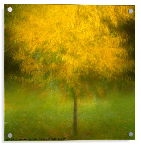 Autumn Glory 2 Acrylic by Janet Burdon