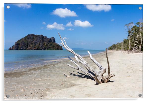 Bleached driftwood on Hua Hin beach, Trang Province, Thailand Acrylic by Kevin Hellon