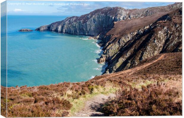 Gogarth Bay and North Stack Anglesey Canvas Print by Pearl Bucknall