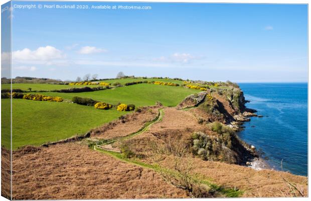 Anglesey Coastal Path near Benllech Canvas Print by Pearl Bucknall